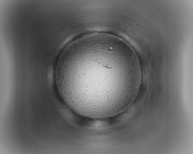 X0000113560111200909251106