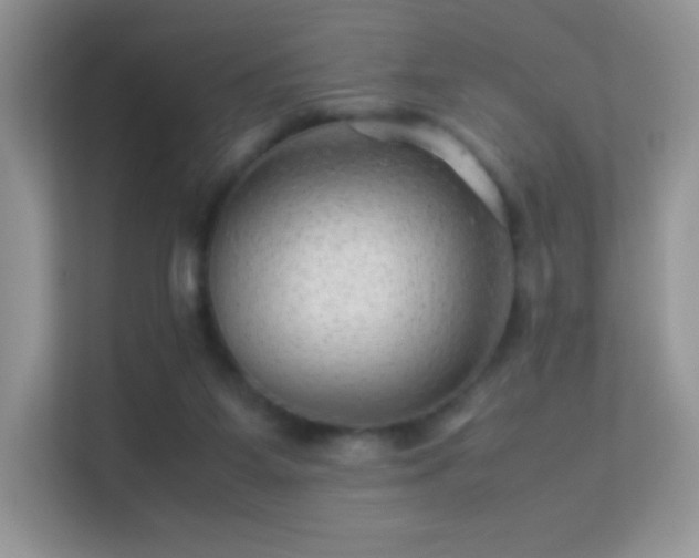 X0000113560115200909251106