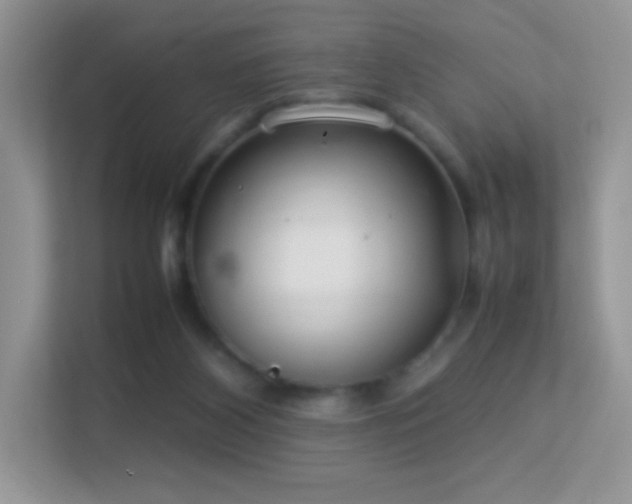 X0000113560116200909251106