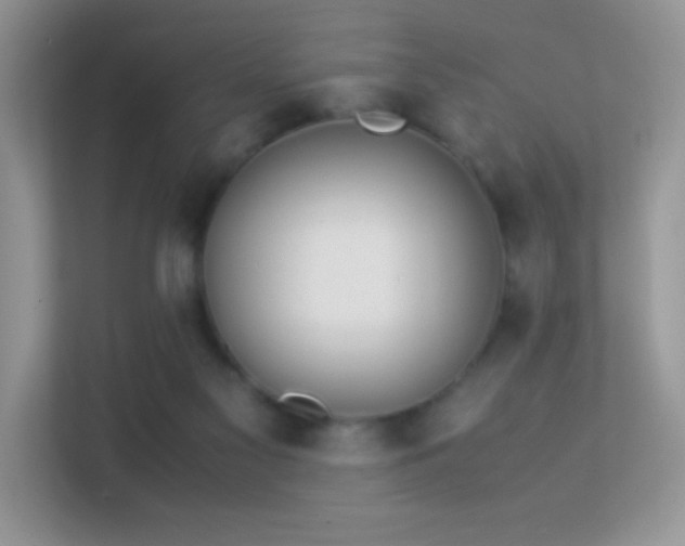 X0000113560117200909251106