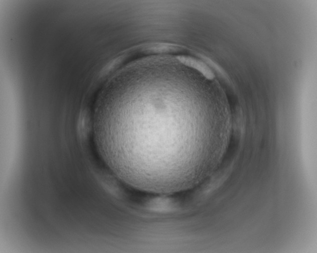 X0000113560119200909251106