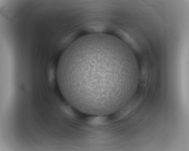 X0000113560122200909251106