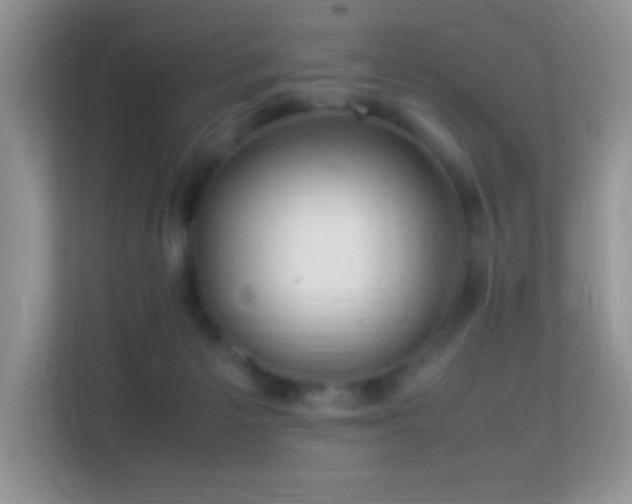 X0000113560125200909251106