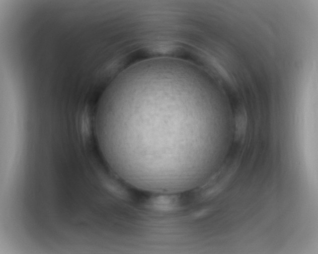 X0000113560126200909251106