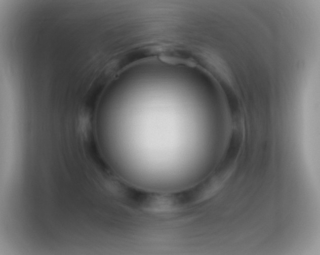 X0000113560127200909251106