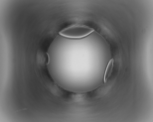 X0000113560129200909251106