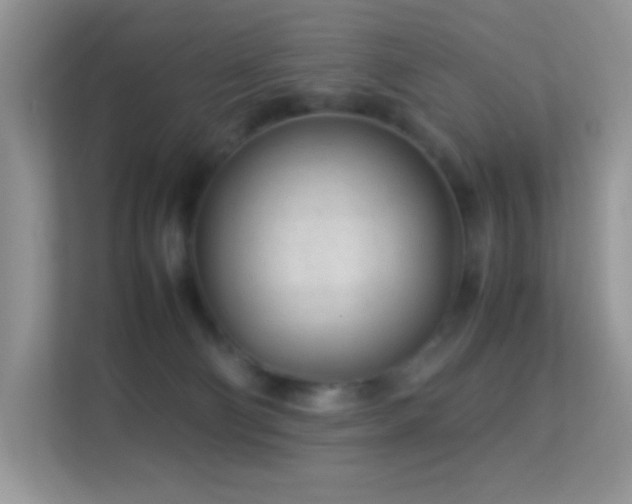 X0000113560130200909251106