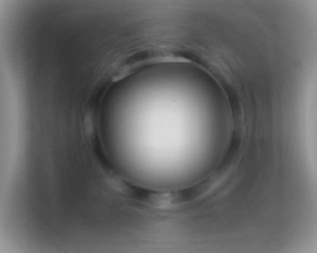 X0000113560131200909251106