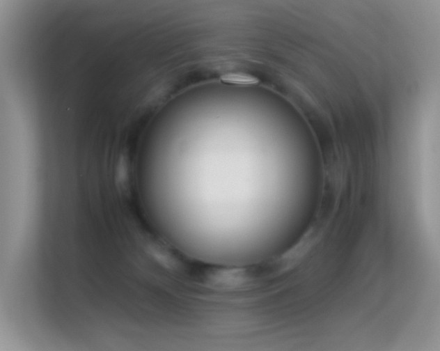 X0000113560132200909251106