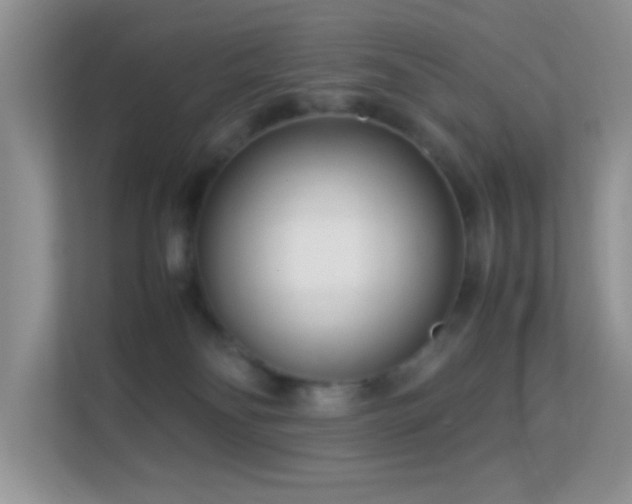 X0000113560134200909251106
