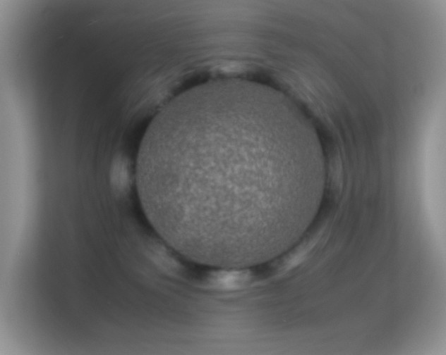 X0000113560135200909251106