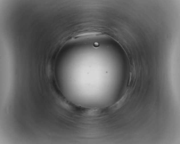 X0000113560136200909251106