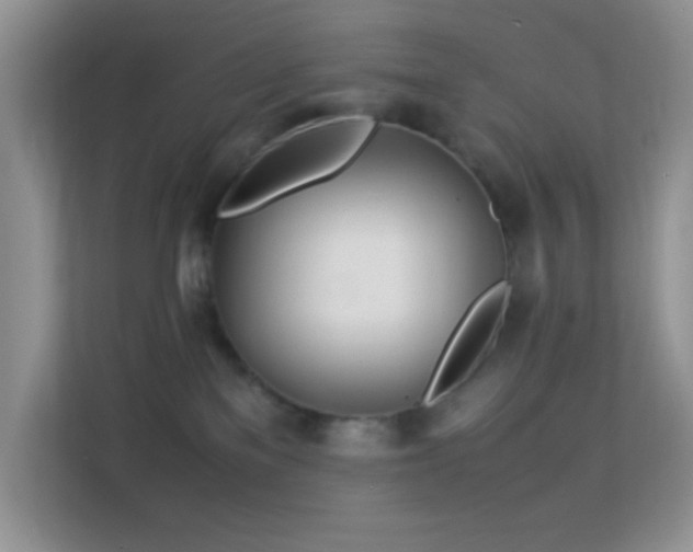 X0000113560137200909251106
