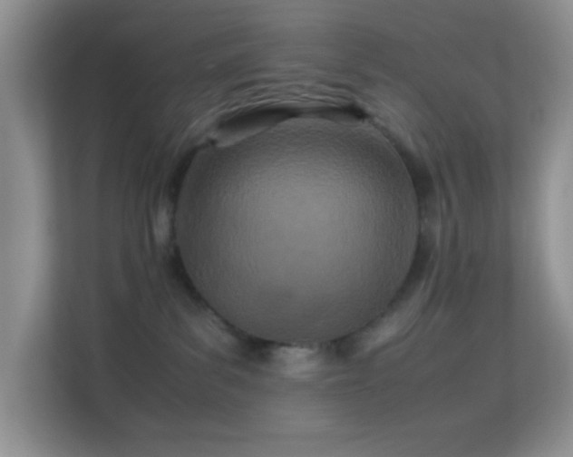 X0000113560139200909251106
