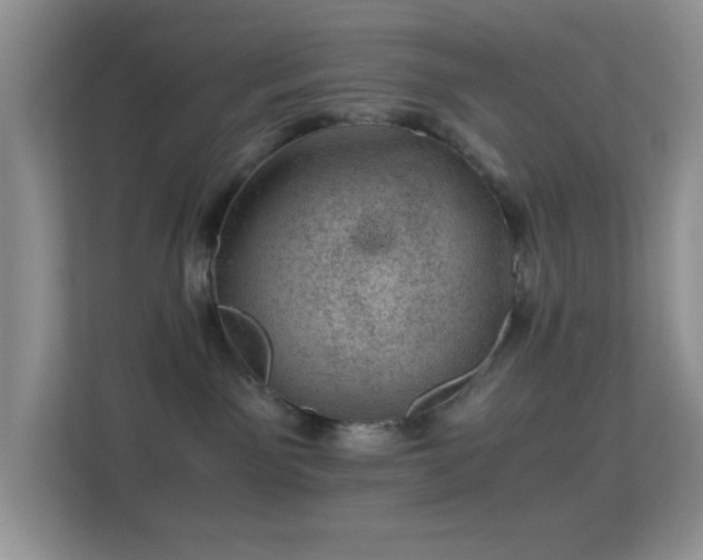 X0000113560141200909251106