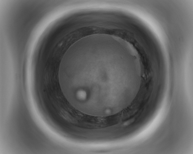 X0000113560143200909251106