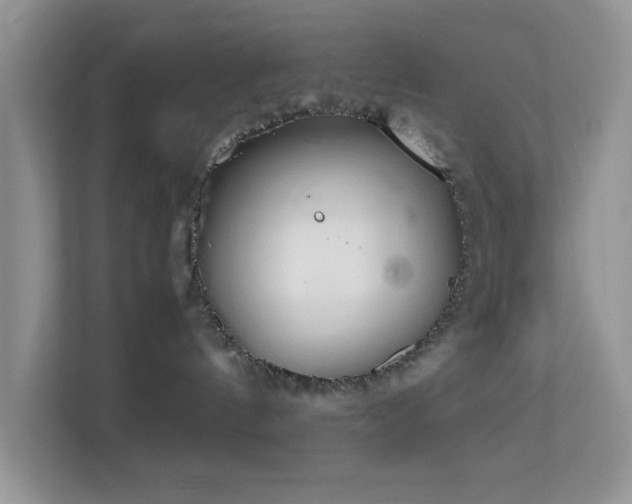 X0000113560144200909251106
