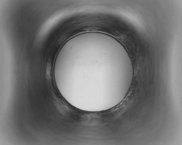X0000113560146200909251105