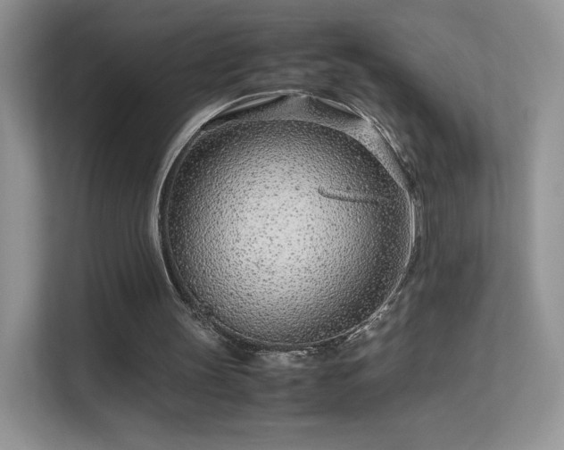 X0000113560147200909251105
