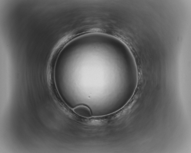 X0000113560149200909251105
