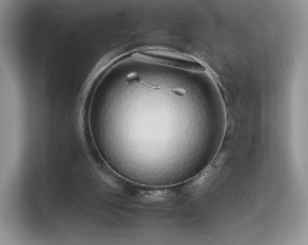 X0000113560151200909251105