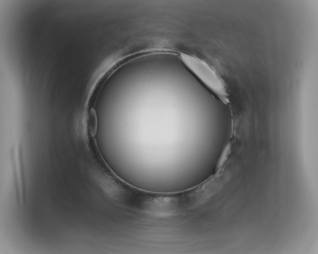 X0000113560152200909251105