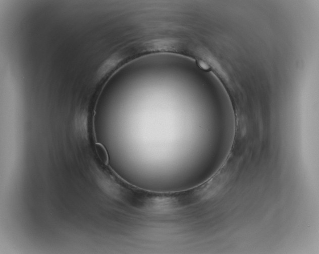 X0000113560154200909251105