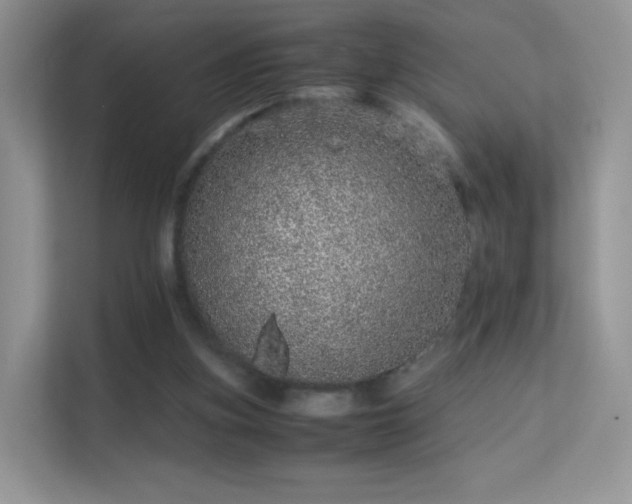 X0000113560155200909251105