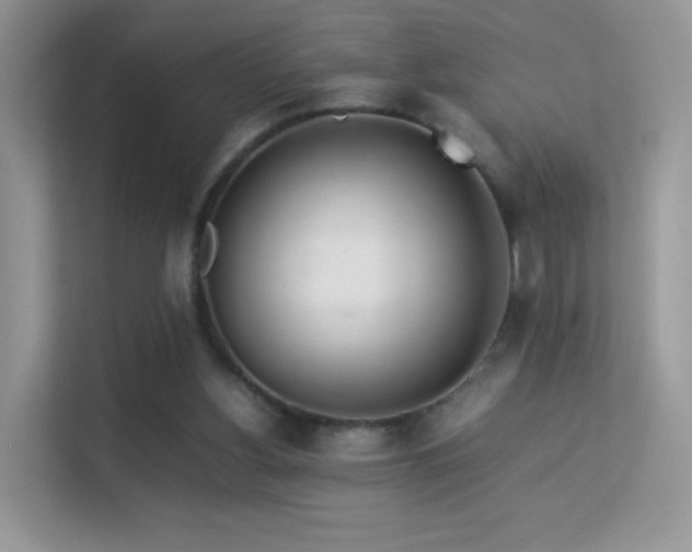 X0000113560156200909251105
