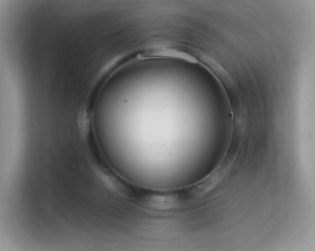 X0000113560160200909251105