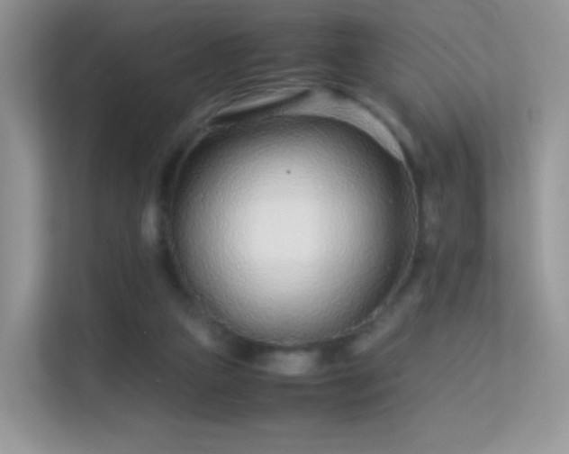 X0000113560161200909251105
