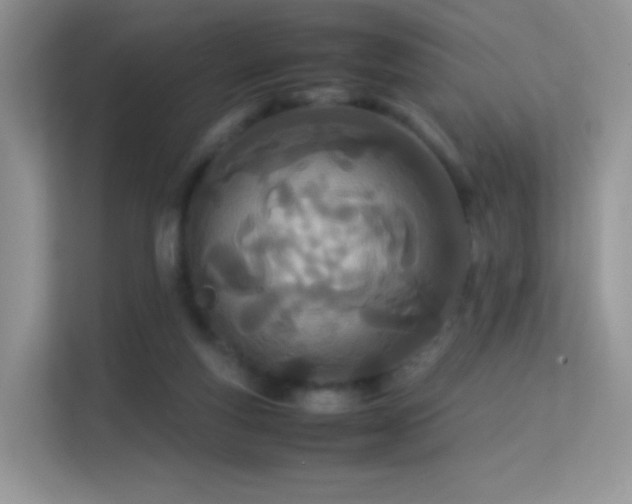 X0000113560163200909251105