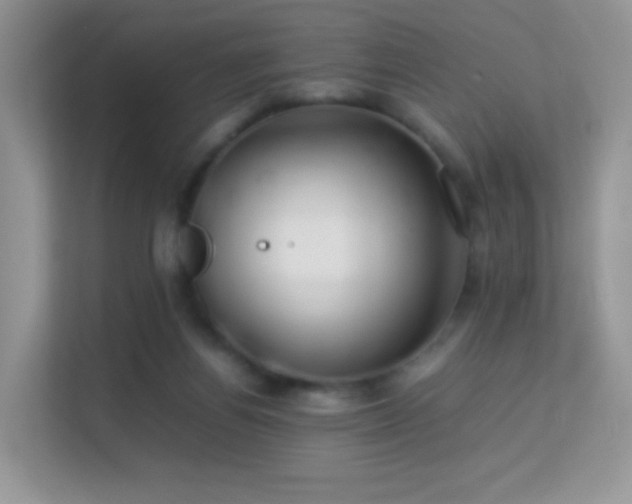 X0000113560164200909251106