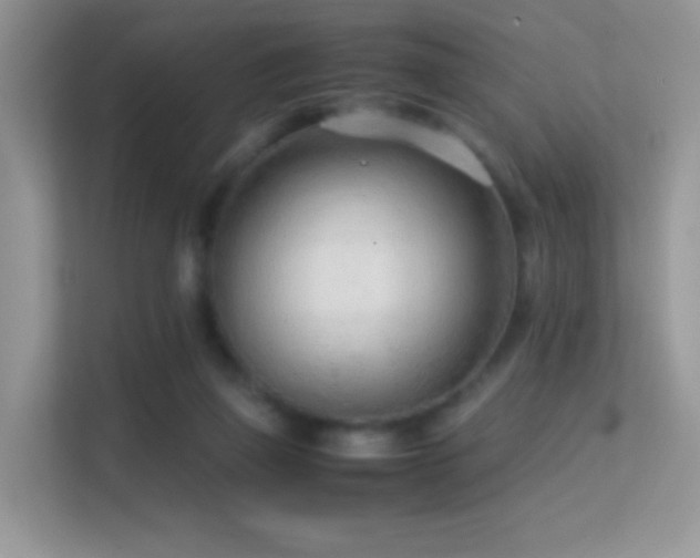 X0000113560165200909251106