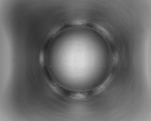 X0000113560166200909251106