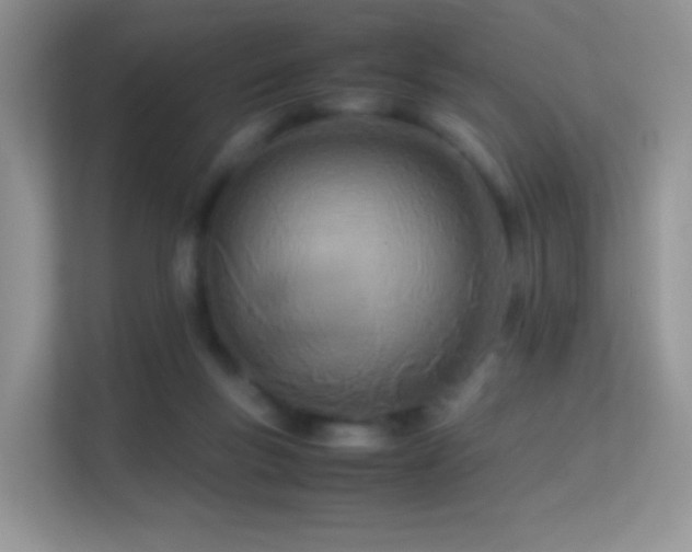 X0000113560167200909251106
