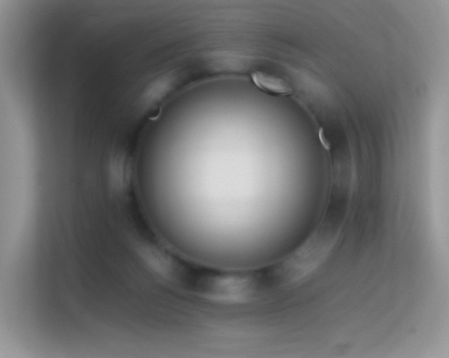 X0000113560168200909251106