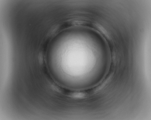 X0000113560169200909251106