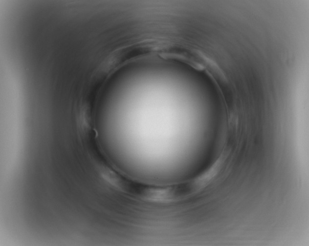 X0000113560170200909251106