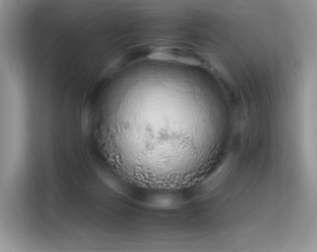 X0000113560171200909251106