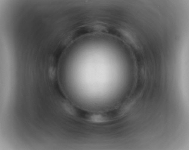 X0000113560177200909251106