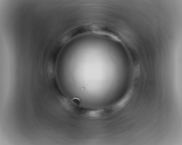 X0000113560178200909251106