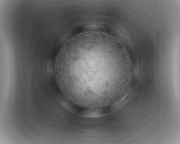 X0000113560179200909251106