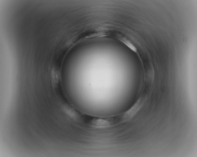 X0000113560180200909251106