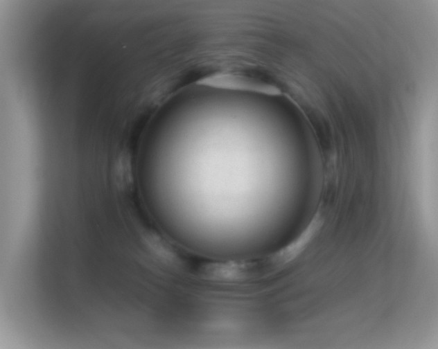 X0000113560182200909251106