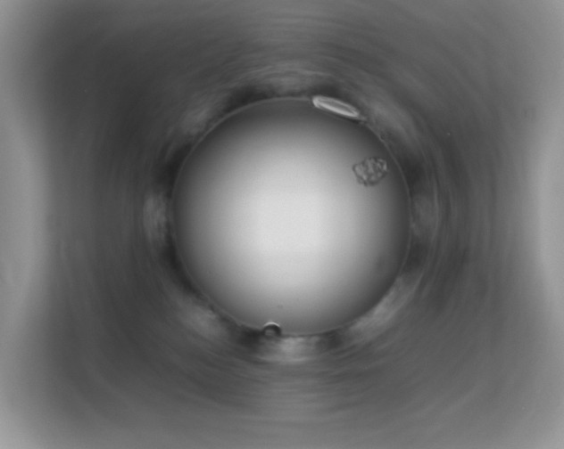 X0000113560184200909251106