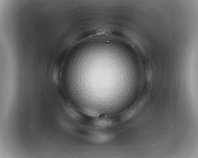 X0000113560185200909251106