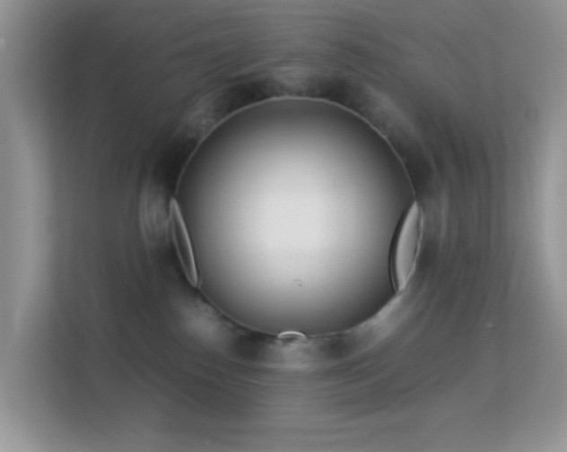 X0000113560186200909251106