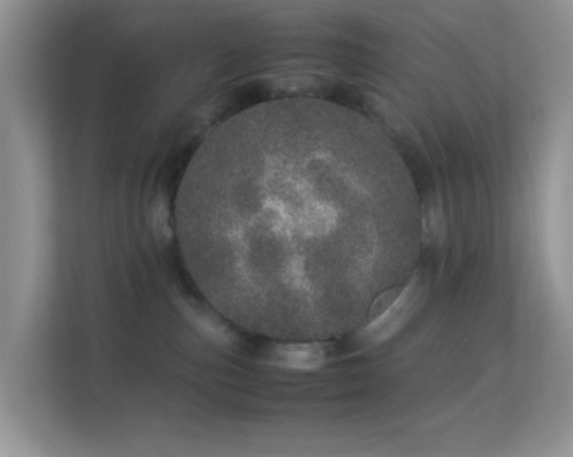 X0000113560187200909251106