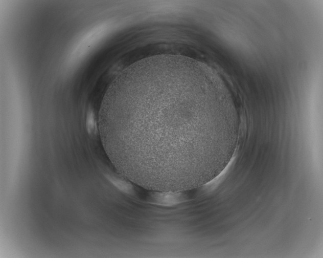 X0000113560191200909251106